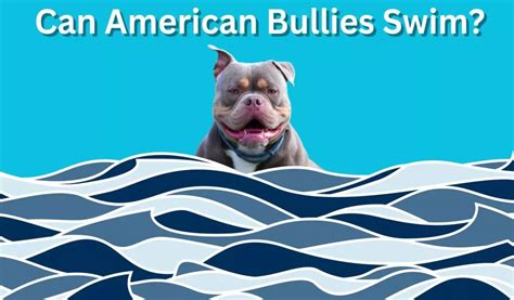 Can American Bullies Swim? Exploring the Depths of Canine Aquatic Abilities