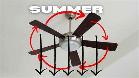 Does Running Ceiling Fans Save Electricity? And Why Do They Make You Feel Like a Bird?