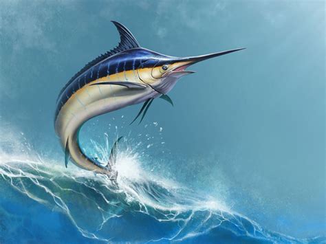 How Fast Do Black Marlin Swim: And Why Do They Need Speed to Outrun Their Own Shadows?