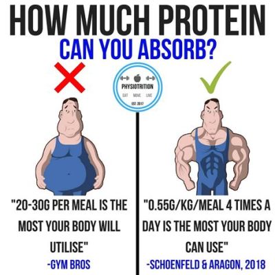 How Much Protein Can I Take at Once: Exploring the Limits and Myths