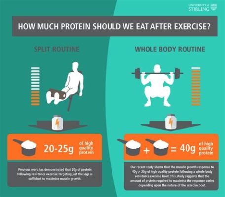 How Much Protein Can You Take in One Sitting: A Dive into the Myths and Realities of Protein Absorption