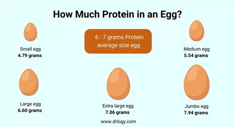 How Much Protein Is in a Large Brown Egg and Why Do Chickens Dream of Electric Sheep?