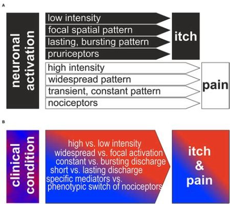 Itching When Running: A Symphony of Sensations and Theories